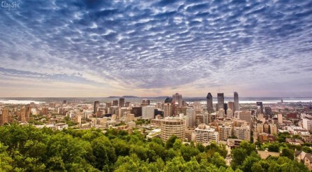 Cidade de Montreal num belo dia em foto tirada por Franciele