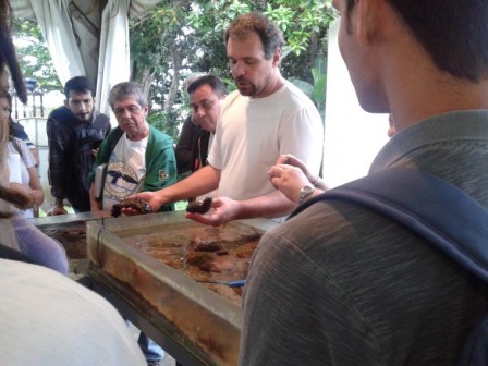 Biólogo Luciano Abel do CEBIMar explicando a fisiologia dos pepinos-do-mar para os alunos