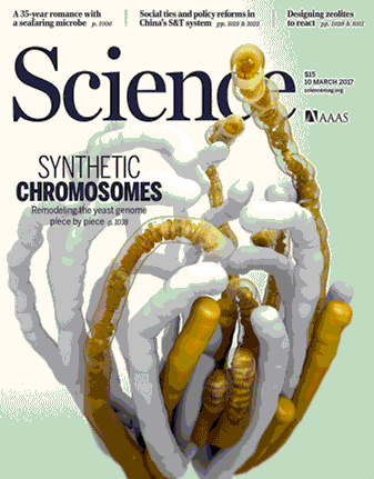 Capa da revista Science de 10 de março de 2017