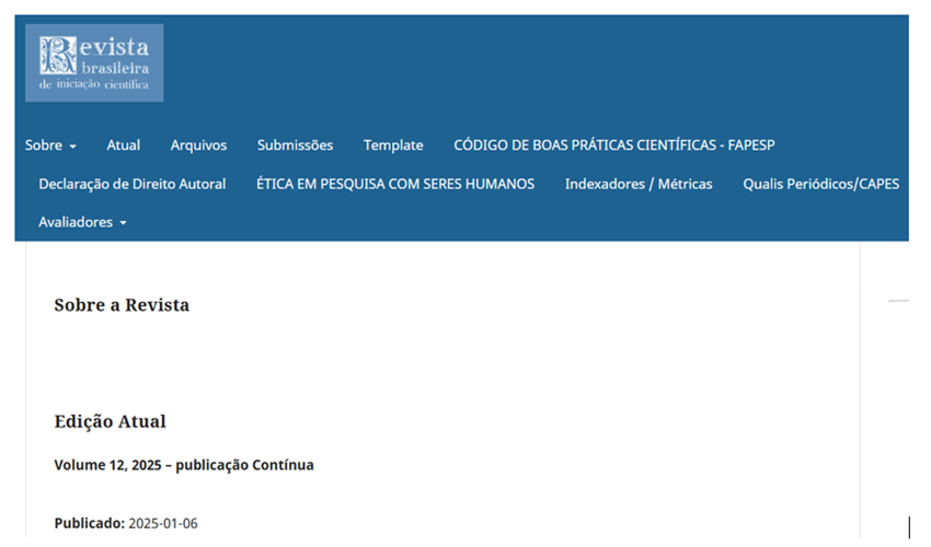 Imagem 3 Site da Revista Brasileira de Iniciação Científica