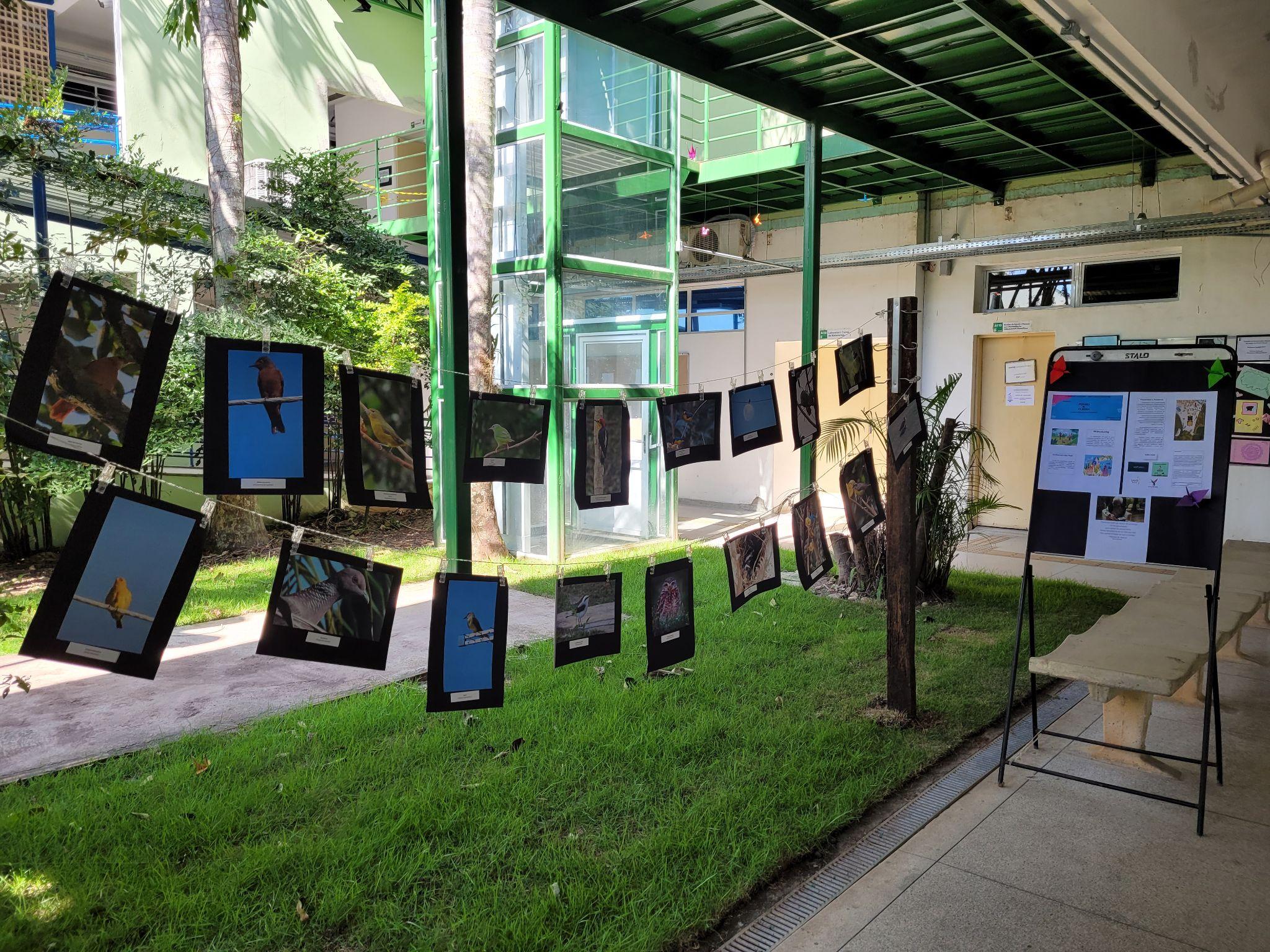 Exposição de Birdwatching, da servidora Mariana Maltez.