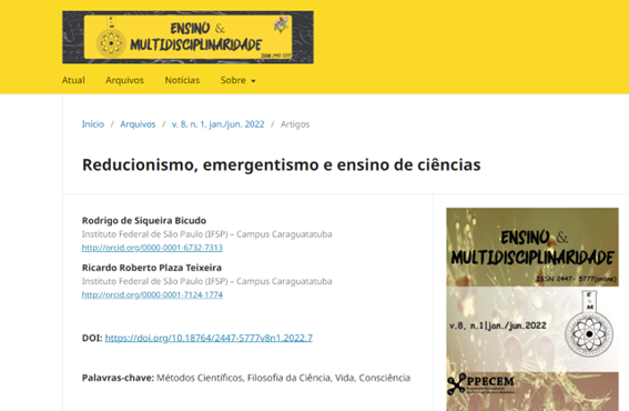 Imagem 2 – Artigo publicado no site da Revista Ensino & Multidisciplinaridade