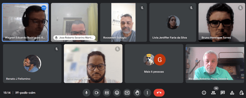 Imagem 3 – Participantes do webseminário