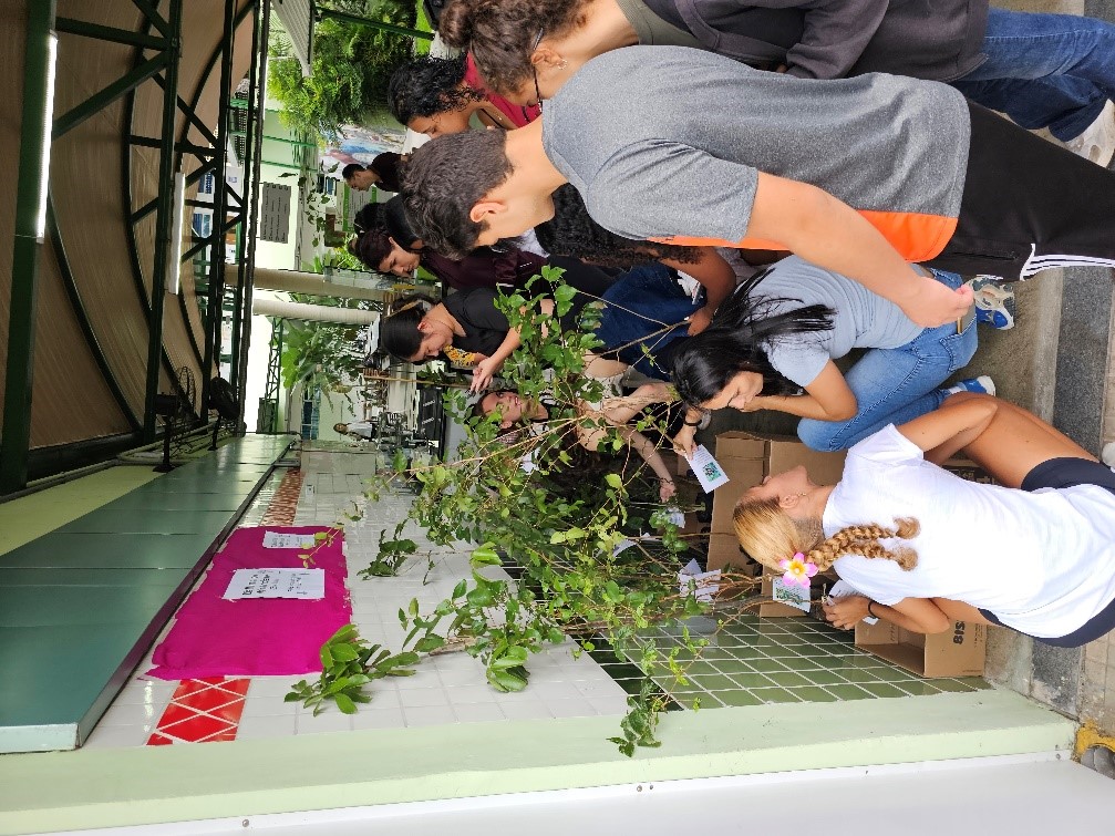 Imagem 2: Ação realizada no dia 5 de junho – Dia Mundial do Meio Ambiente