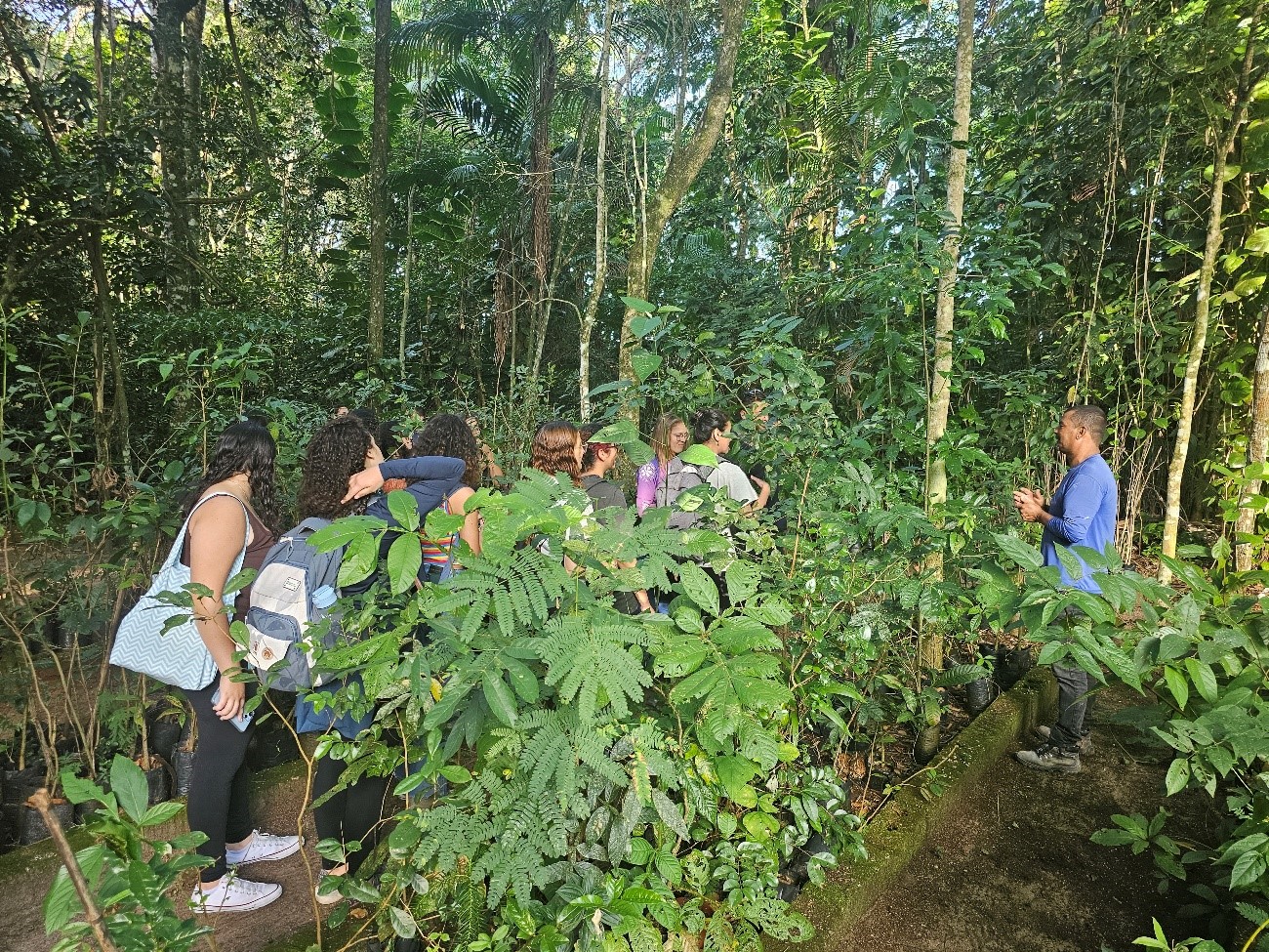 Imagem 2: Jorge explica as principais características das plantas presentes no viveiro. 